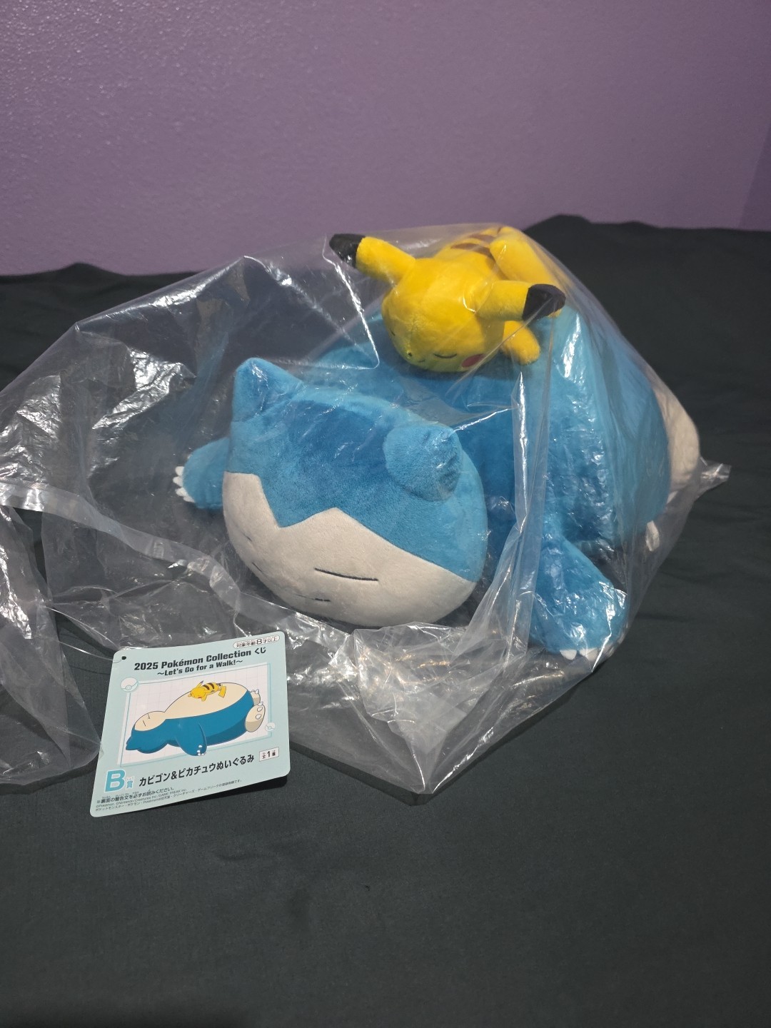 Pokemon Snorlax & Pikachu Sleeping Plush Pokemon Ichiban B Prize From Japan 2025