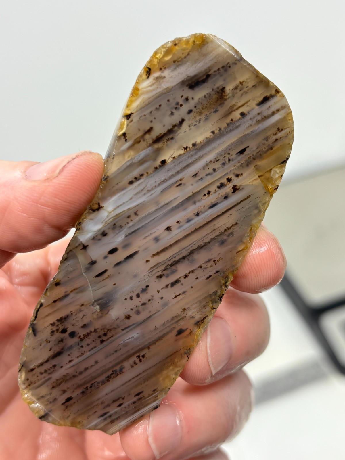 Montana Agate slab Cabbing Lapidary Collecting