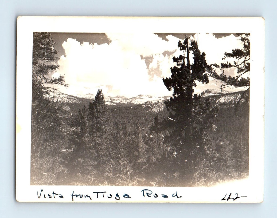 Old Vintage Photo YOSEMITE TIOGA ROAD MOUNTAIN LANDSCAPE SNAPSHOT PHOTOGRAPH