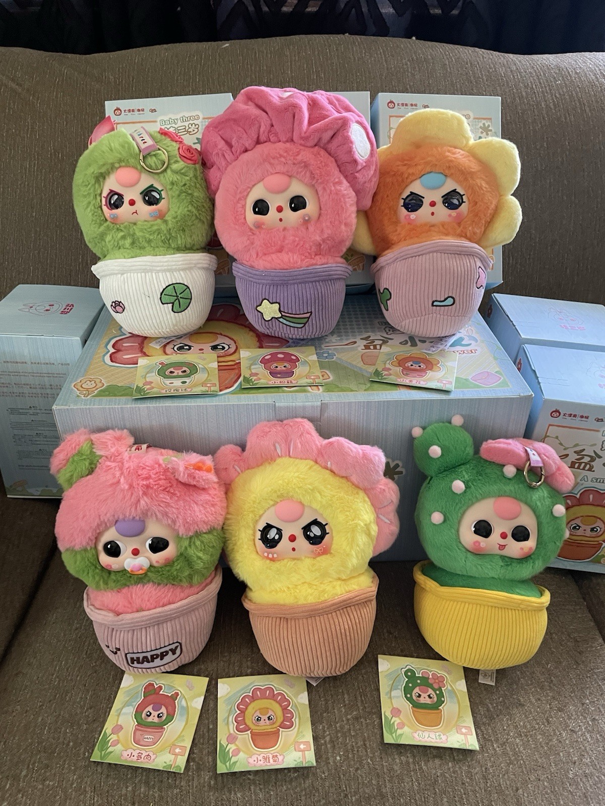 SALE Baby Three A Small Flower FULL CASE 6 Confirmed Boxes New In Box