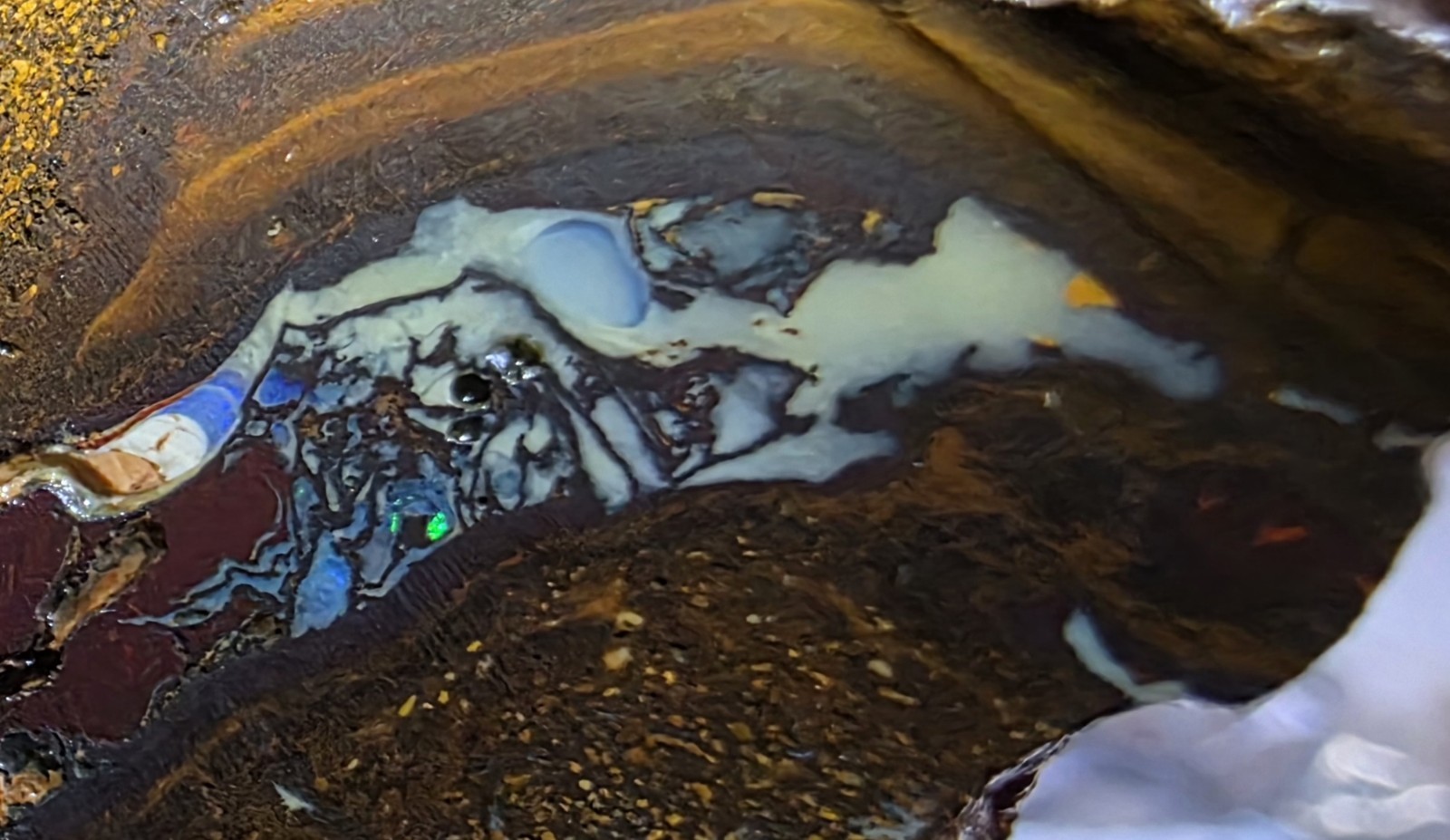 Australian Boulder opal rough Koroit 660 carats  