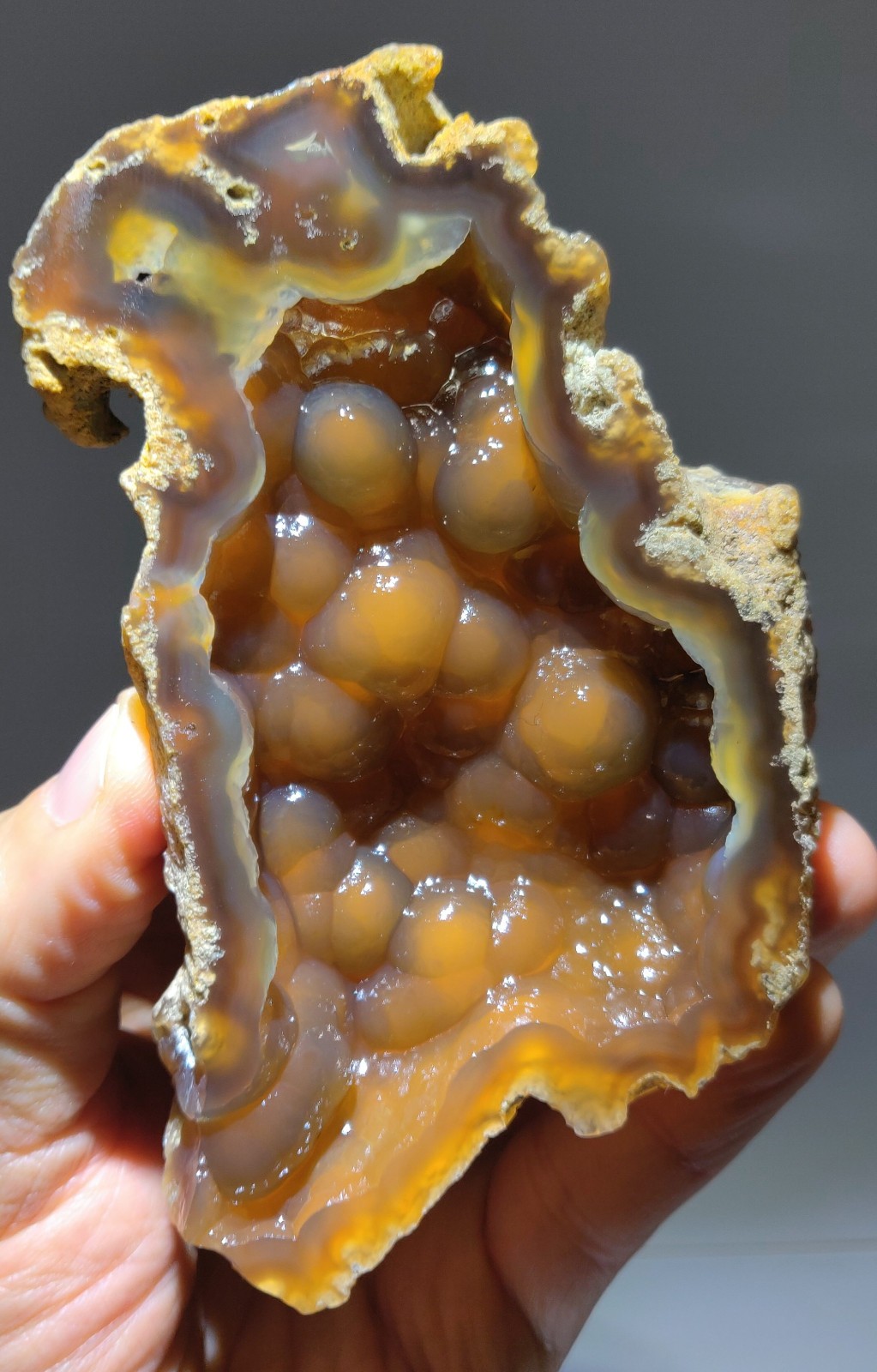 Rare Fluorescent Agatized Coral Geode, Withlacoochee River, FL