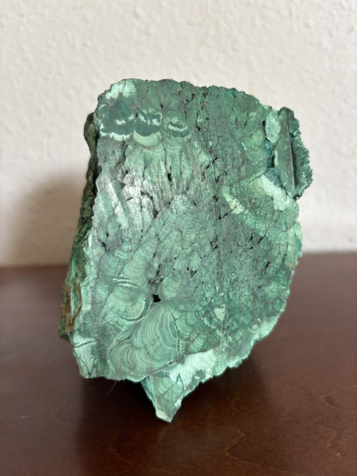 5 LB Large Natural Malachite cluster rough mineral sample with smooth cut bottom