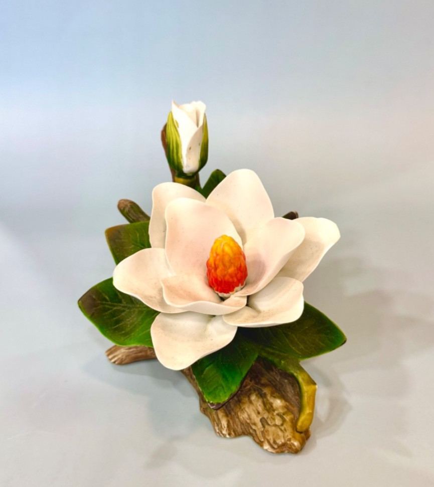 Vintage 1993 Paul Sebastian Limited Edition Collectable Porcelain Magnolia