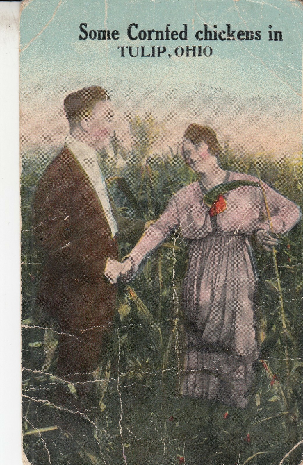 Rare 1919 Vintage Postcard - Some Cornfed Chickens in TULIP OHIO 