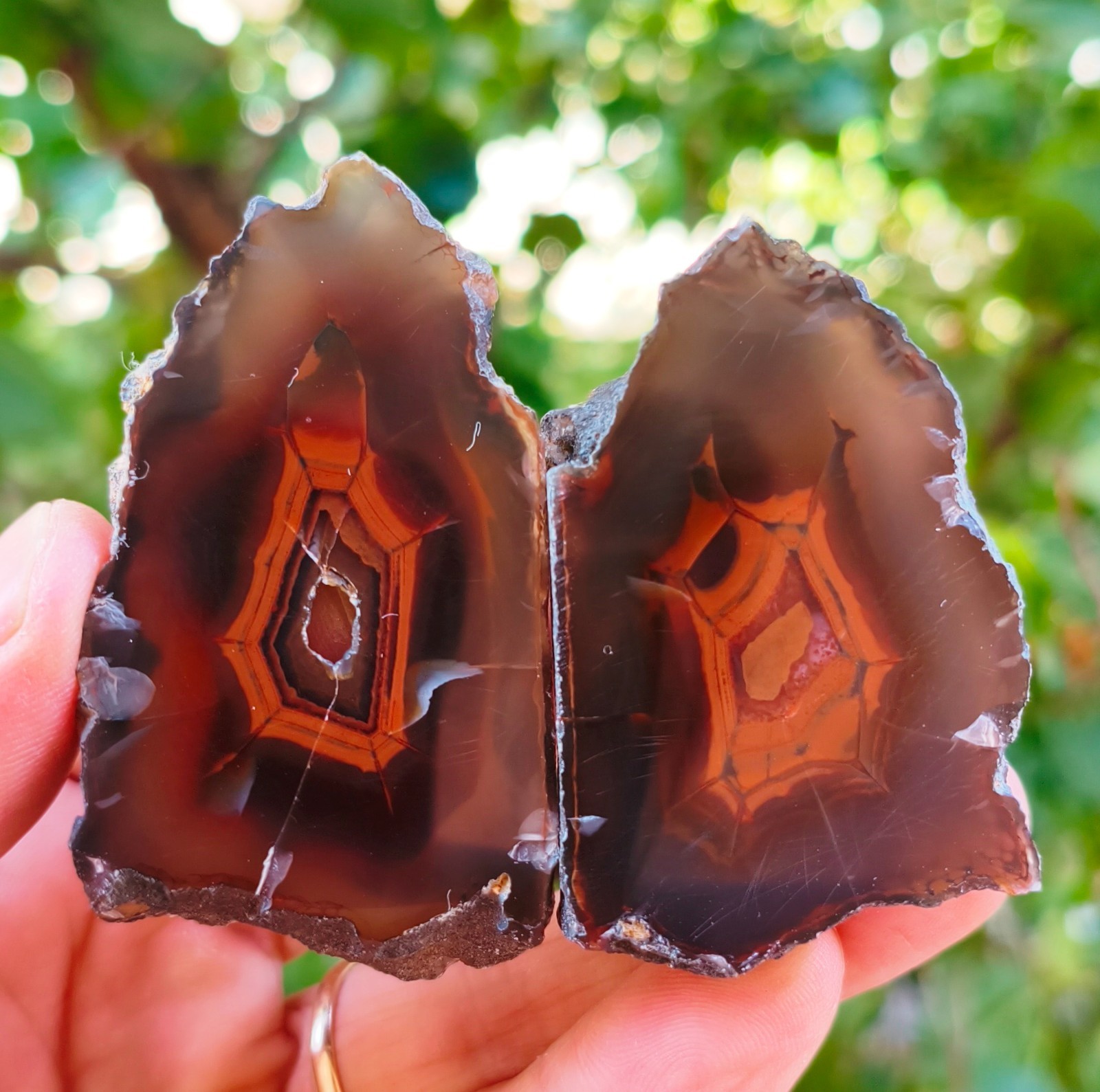 Mirror Polished Extremely Rare Turkish Red Fox Agate Pair Uv Reactive