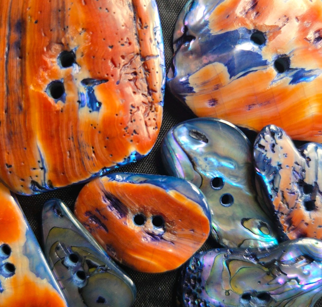 Red  Blue Abalone Shell Buttons 8 Large Freeform Iridescent Paua Mother of Pearl