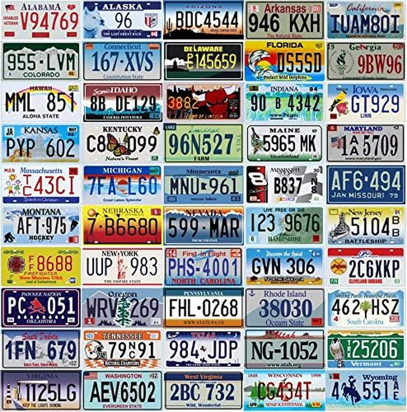 50 Decorative Metal License Plates - USA Wall Decor for Man Cave & Garage