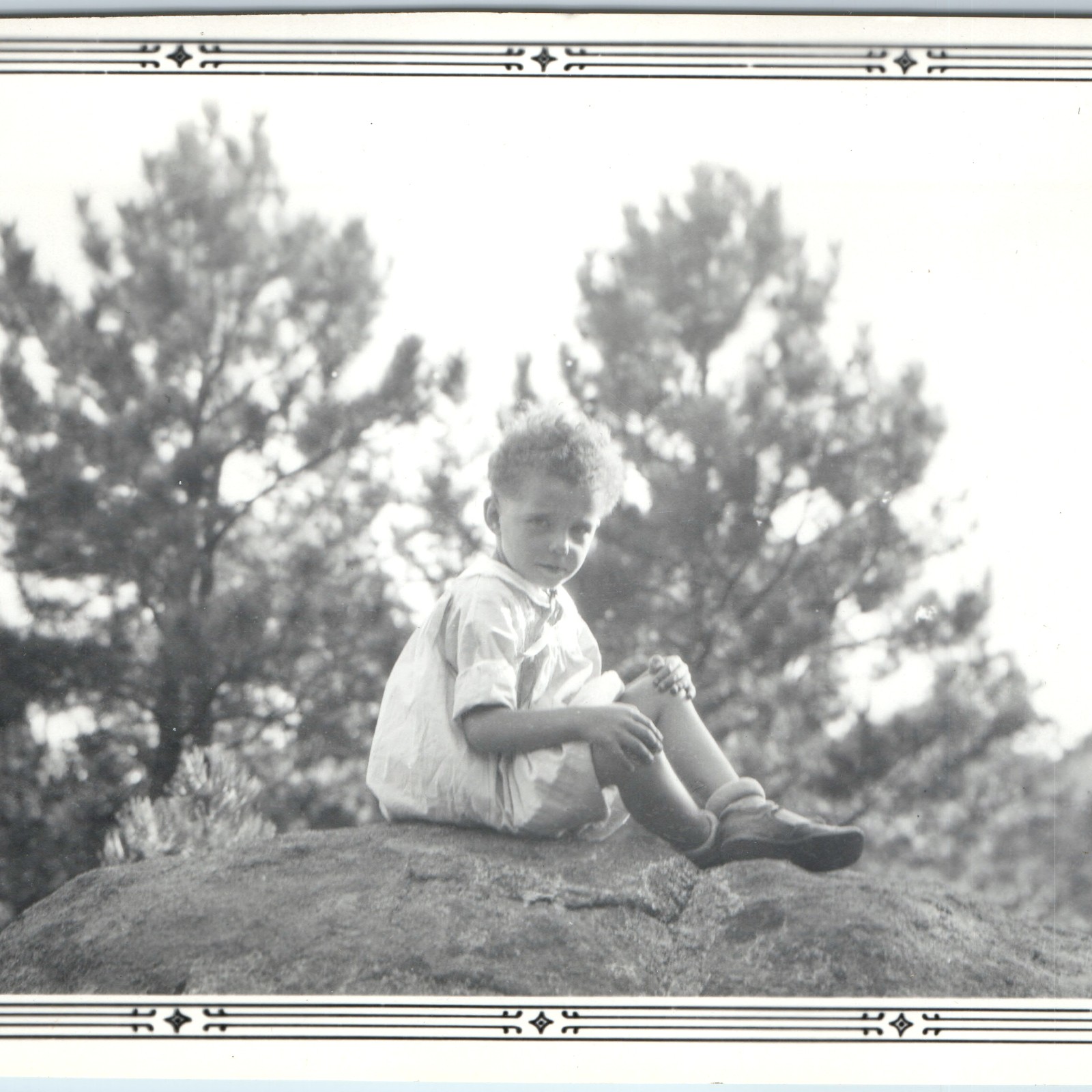 c1920s Cute Young Child Sit Rock Snapshot Photo Pine Adorable Toddler Boy Girl