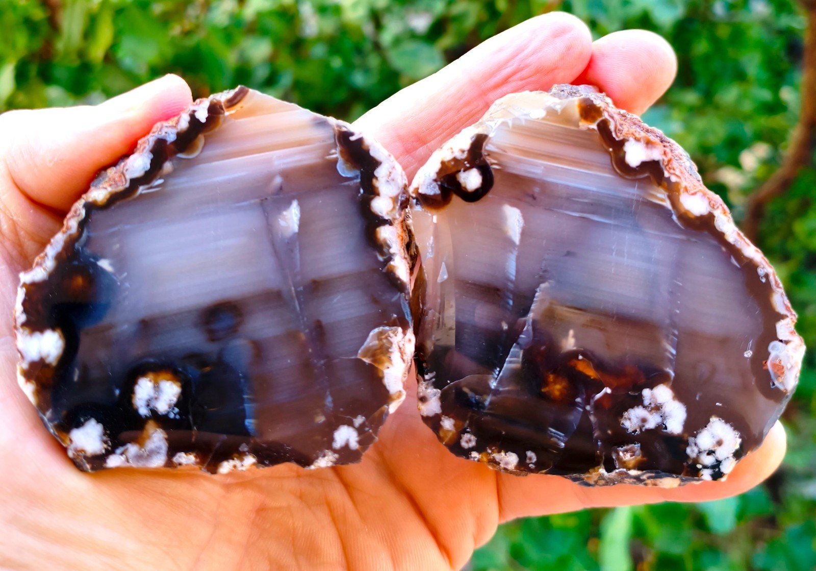 Mirror Polished Waterline Plume Agate Pair