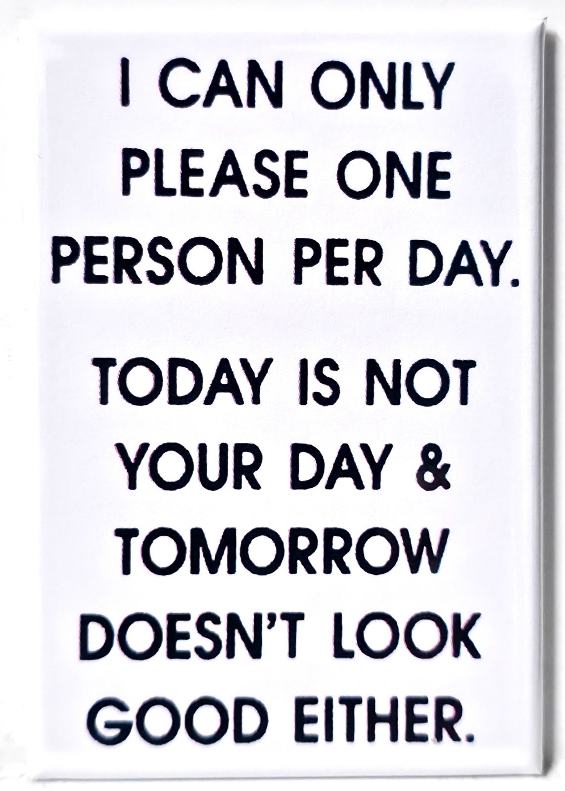 Please One Person a Day MAGNET 2\