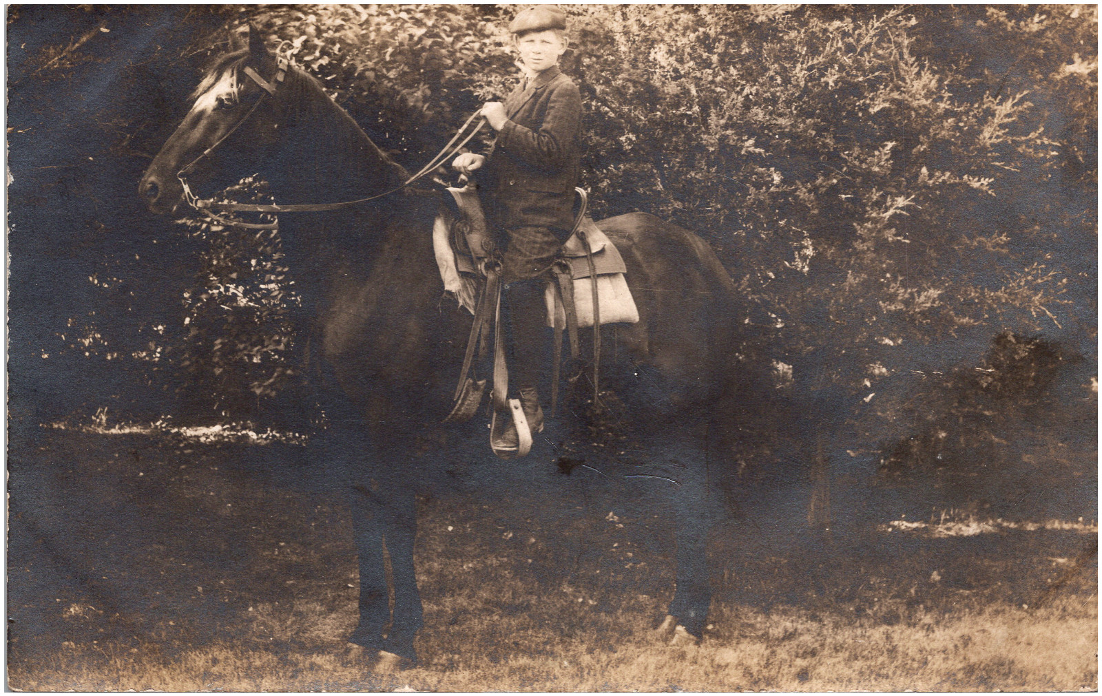 Young Boy Riding a Sturdy Horse Saddle & Reins 1910s RPPC Postcard Photo