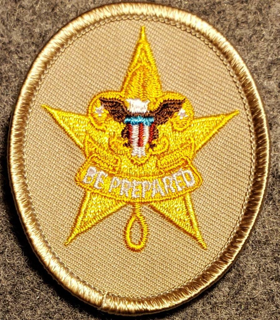 Boy Scout - Star Rank Badge - Tan Oval - Current Issue - BSA