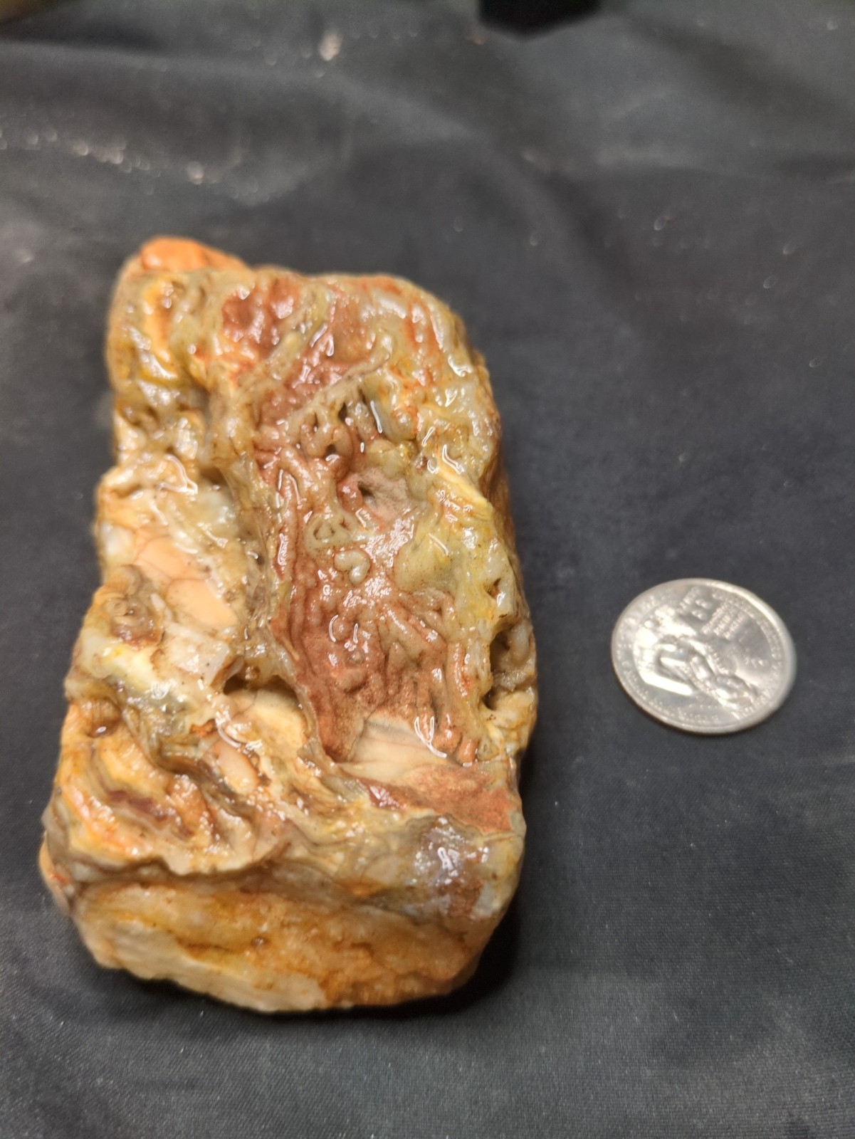 Crystalized Layered Specimen Natural Form (13.2oz) 