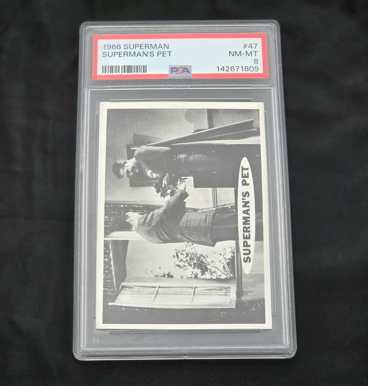 1966 Superman #47 Superman\'s Pet PSA 8 NM-MT