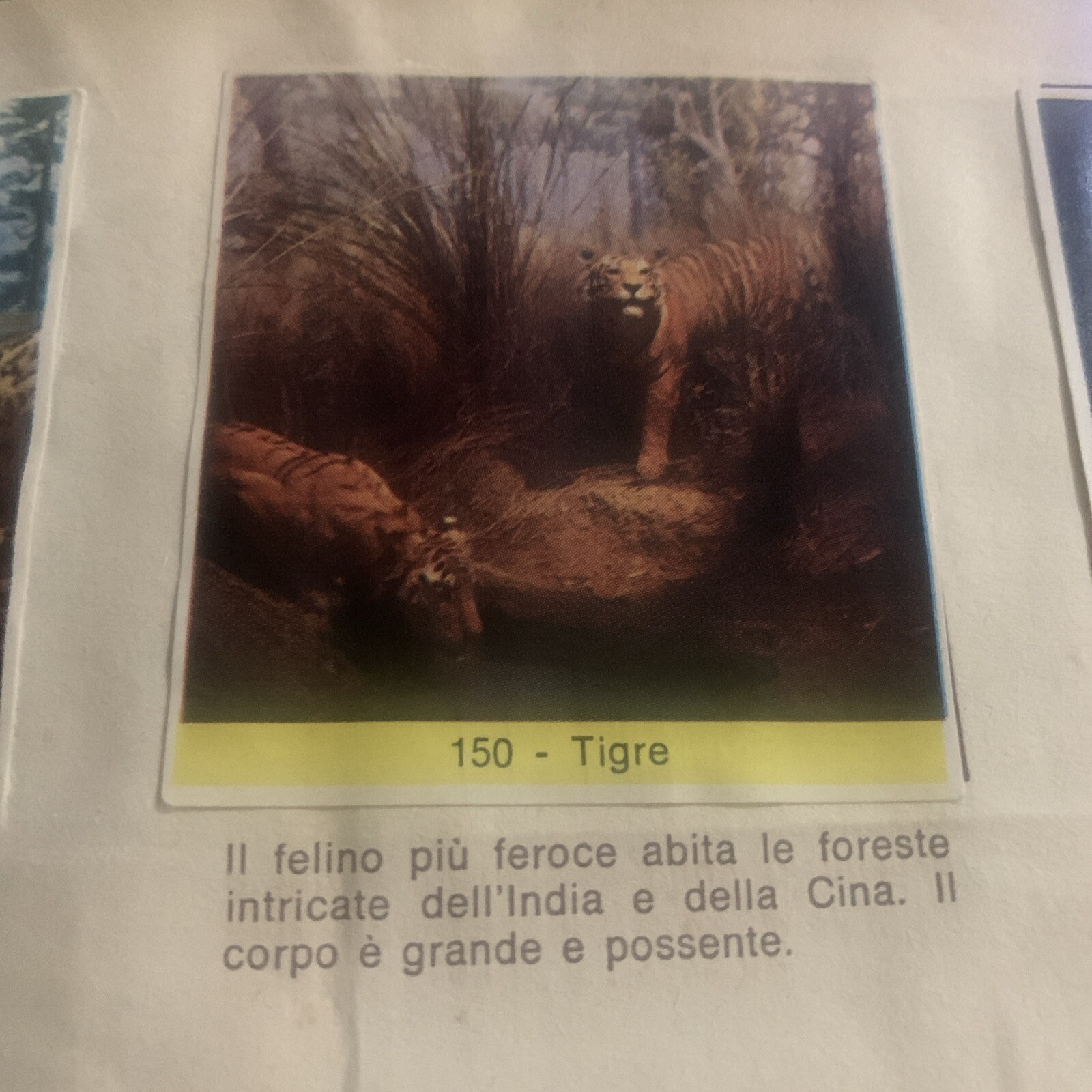 FIGURE NO. 150 THE ANIMAL KINGDOM ED. 1969 CDC EXCELLENT From Recup
