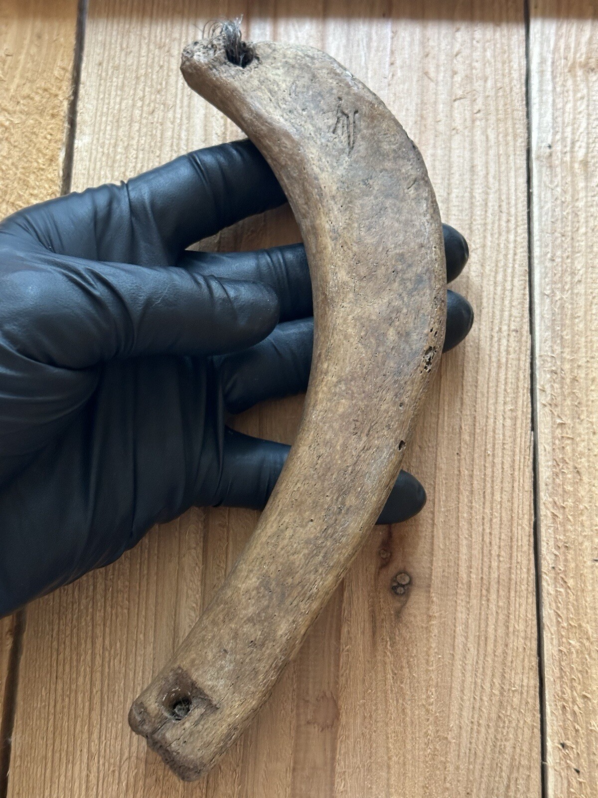 Tomachee Artifacts 👣 ESKIMO INUITS BOW N ARROW BOW STINT BERING SEA ALASKA 🔥