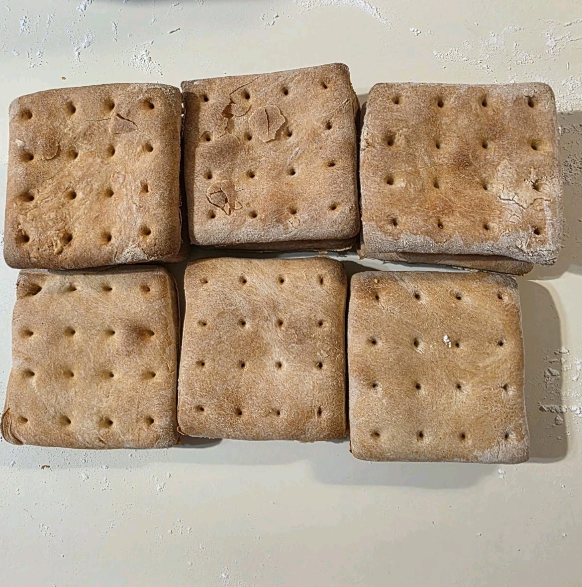Civil War Hardtack daily ration 4x4 pattern 