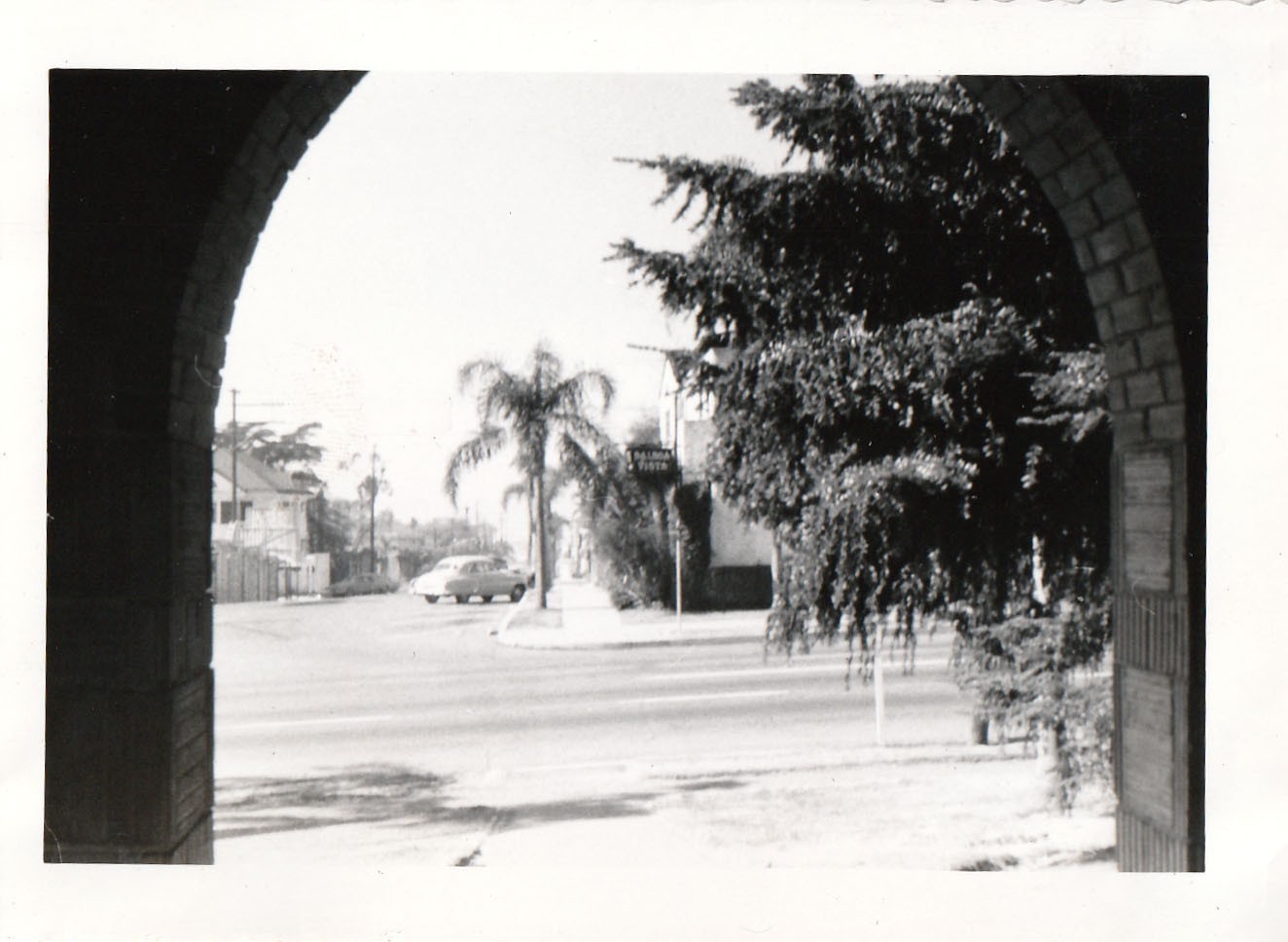 Vintage Photo 1950s San Diego Street Scene from Park Balboa Vista Palm Tree Car