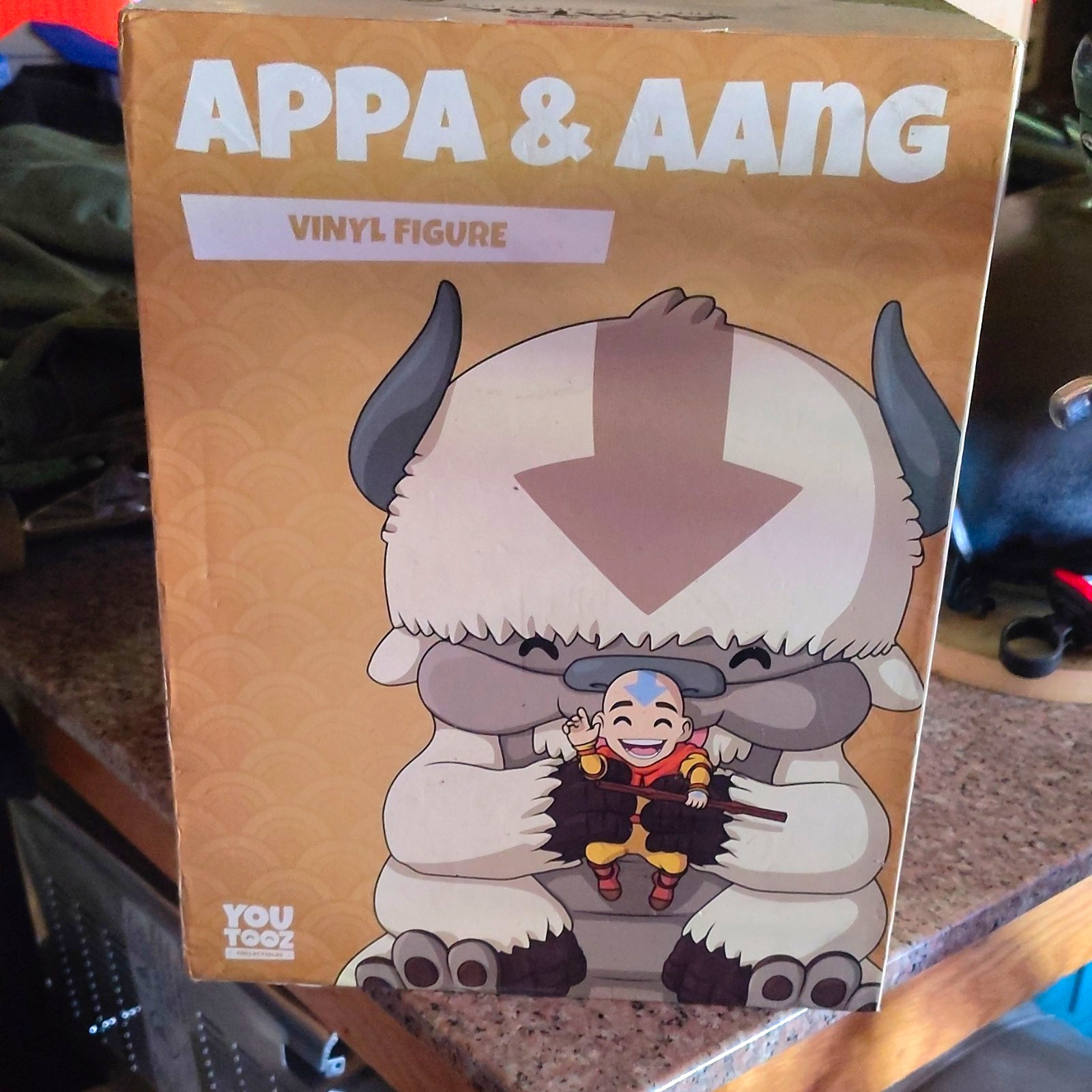 ✨YOUTOOZ APPA & AANG 1' VINYL FIGURE✨ ✨AUTOGRAPHED✨