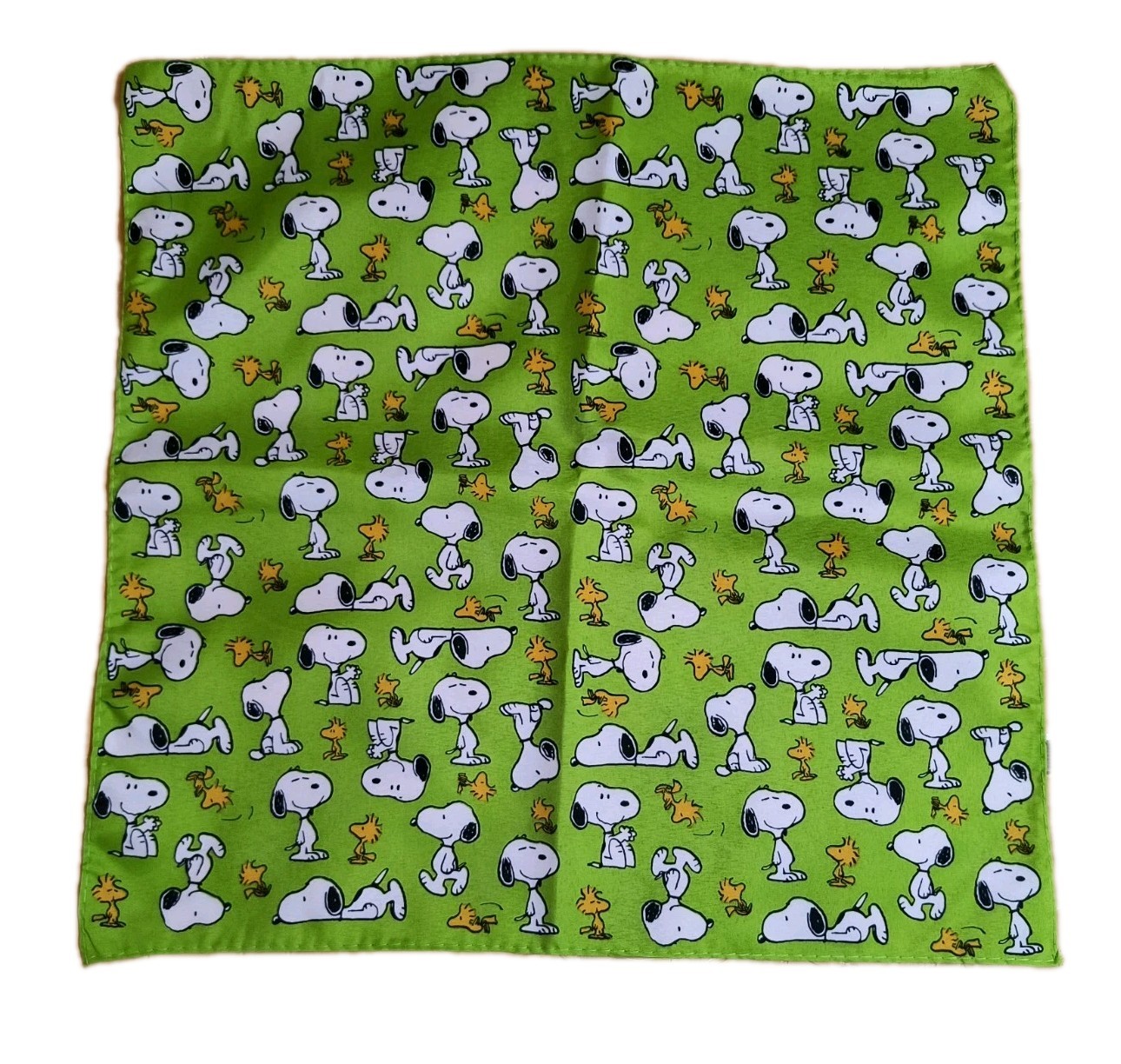 Peanuts Snoopy & Woodstock Green Large Bandana 20\