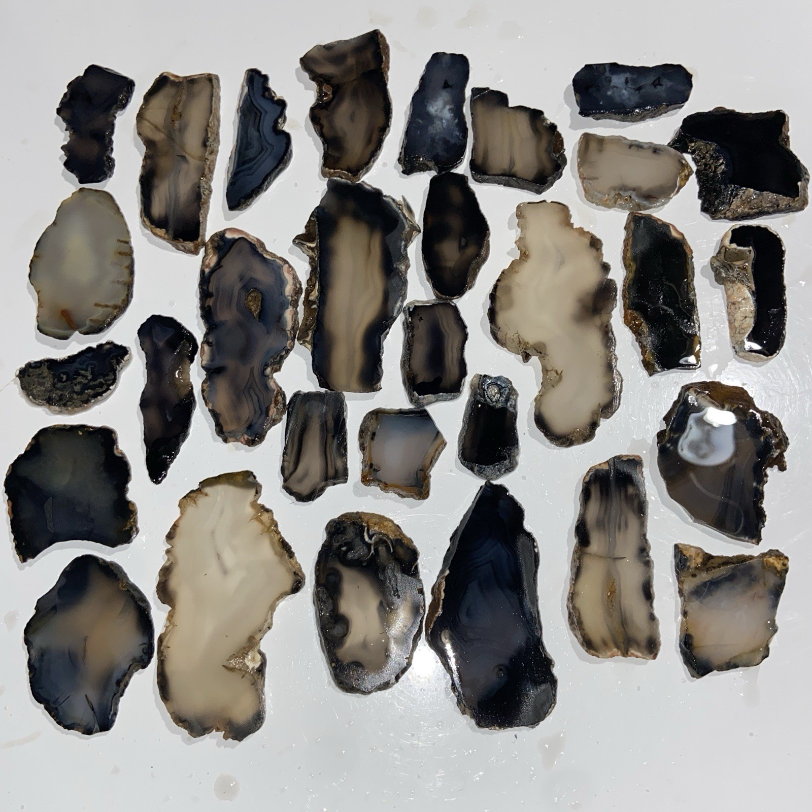 1 Pound Gothic Montana Agate Premium Slabs Rough Lot Lapidary Collection
