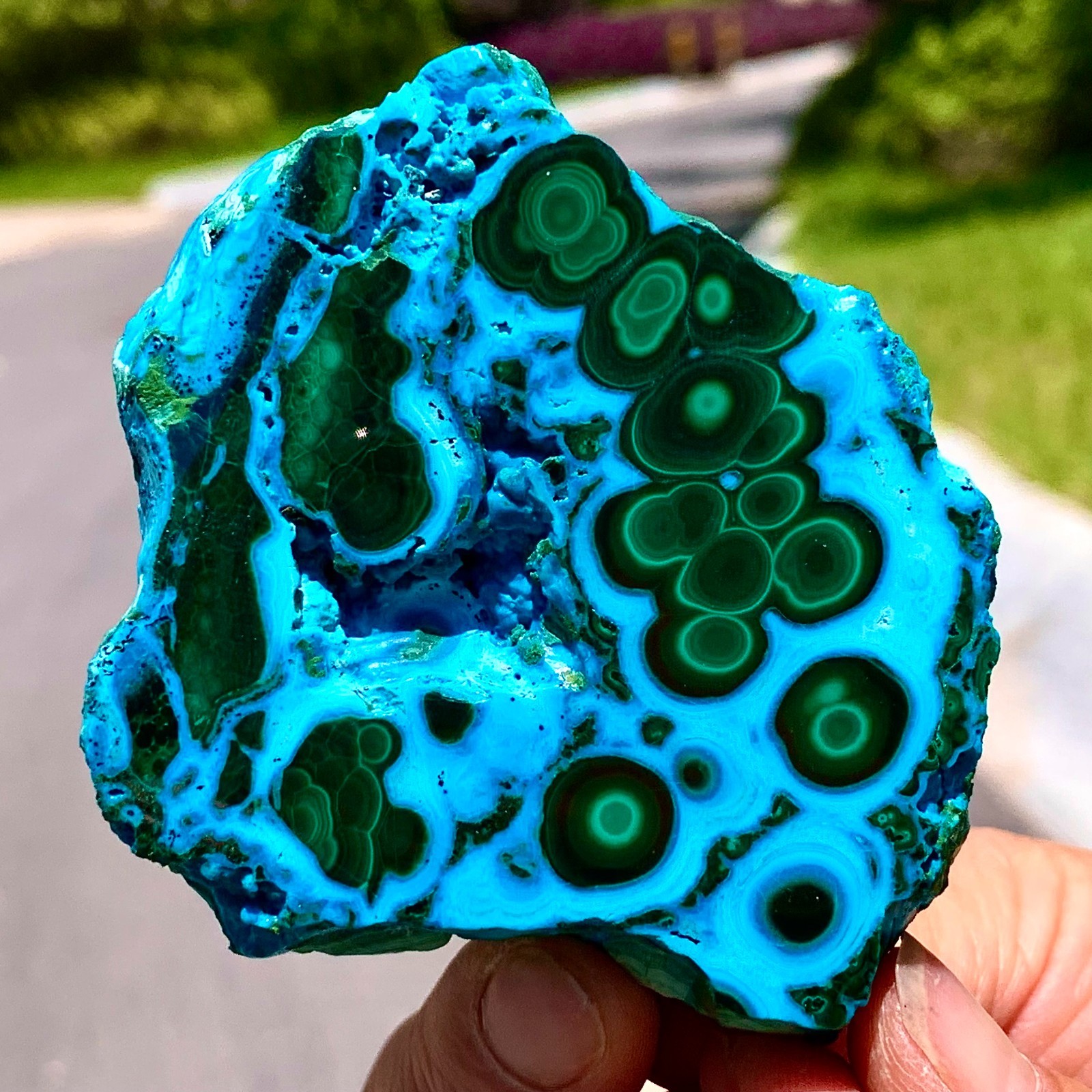 179G Natural Chrysocolla/Malachite transparent cluster rough mineral sample