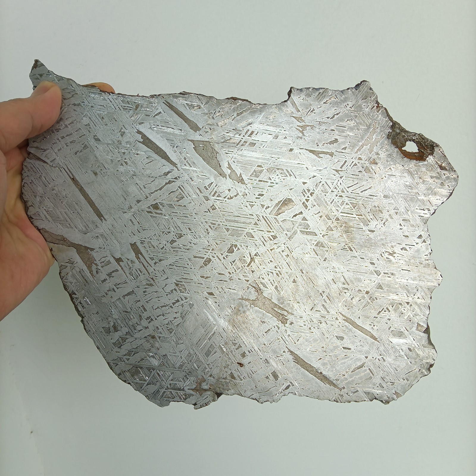 Natural Aletai Iron Meteorite 644.2 Grams Thin Cut Slabs Perfect Etch Fusion Cru