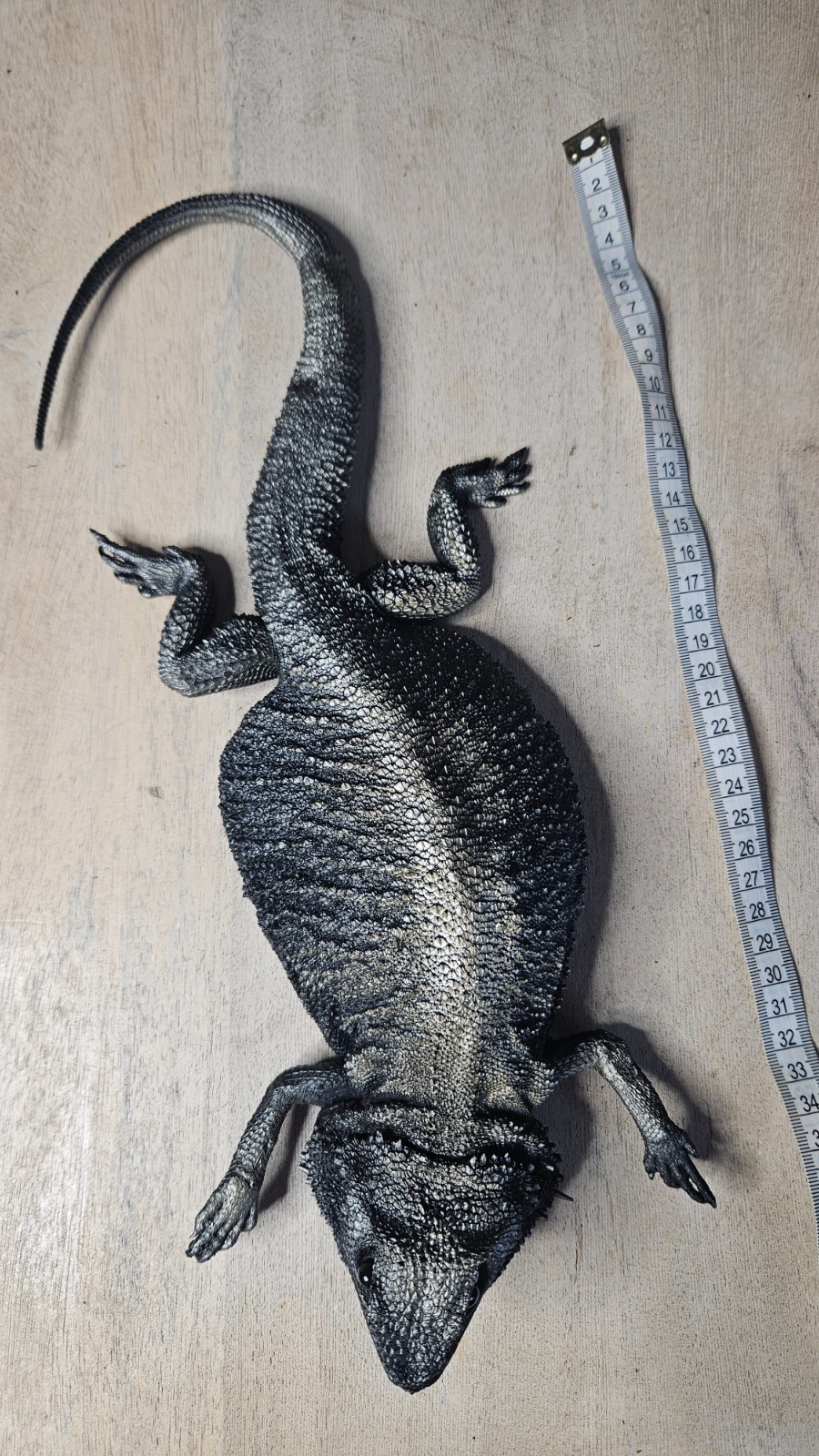 Hand-Painted Bearded Dragon Wall Mount Interior decoration