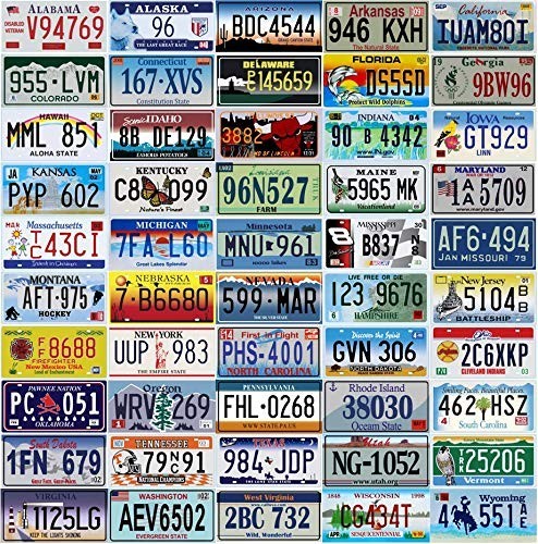  50 decorative metal License Plates USA - All 50 states included - 6x12 inches e