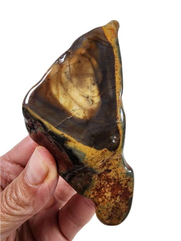Dino Jasper Polished Stone 148.4 grams.