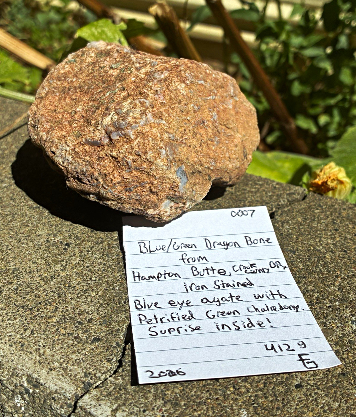 Blue/Green Dragon Bone Rough Rock Specimen Hampton Butte OR