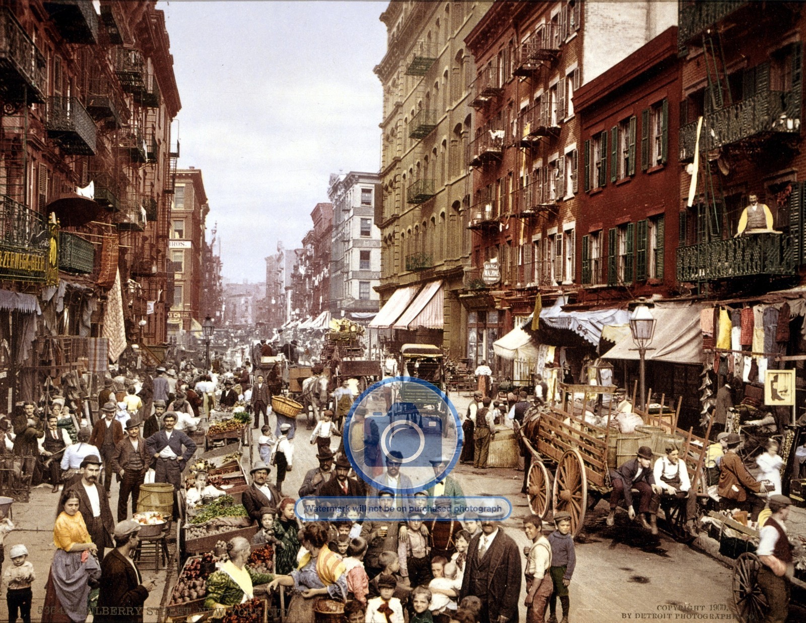 MULBERRY STREET NEW YORK CITY NY HISTORIC SCENE 1900 8.5X11 PHOTO