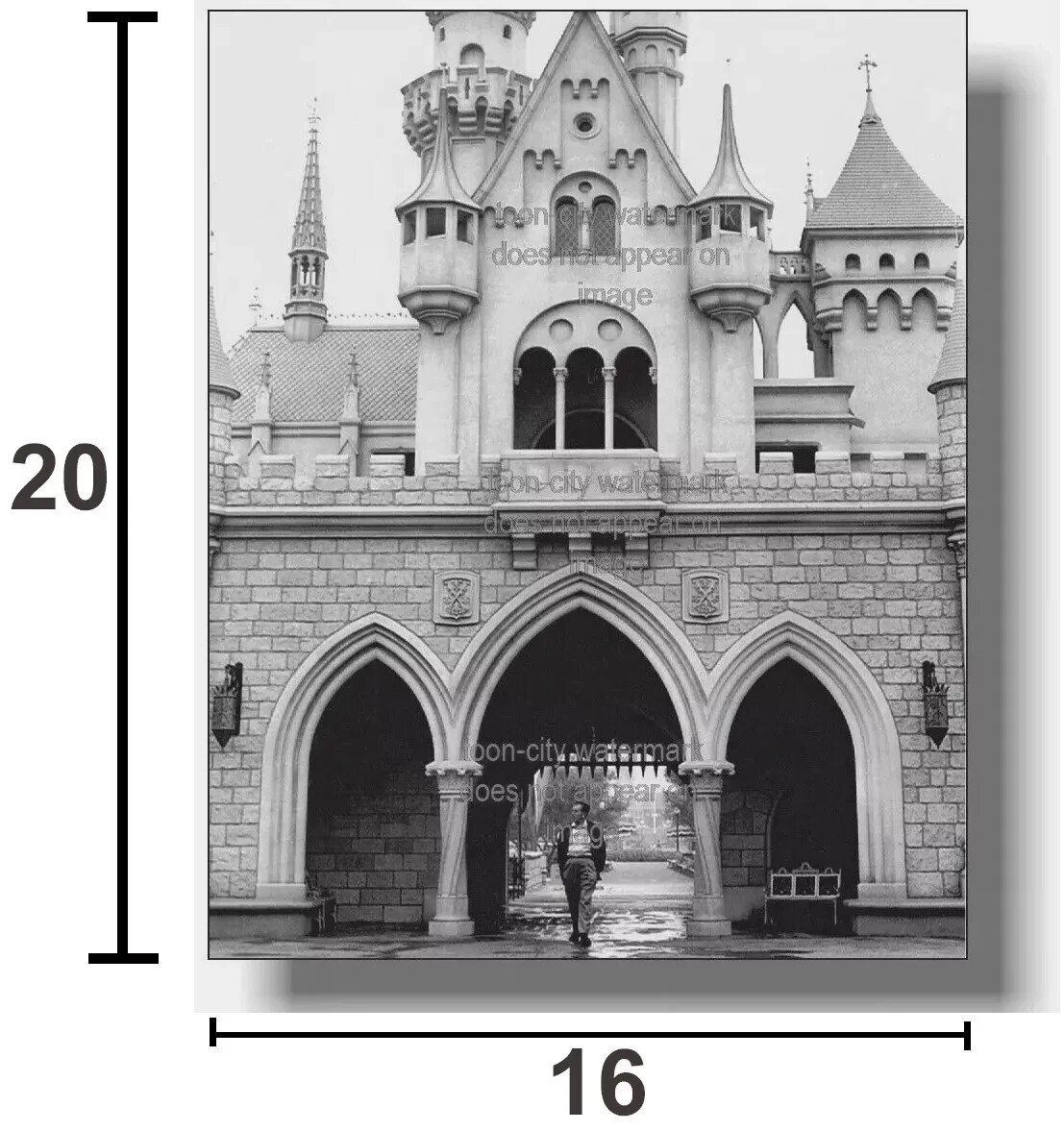❌ GIANT SIZE 16x20 Walt Disney Disneyland Sleeping Beauty Castle 1955 NEW