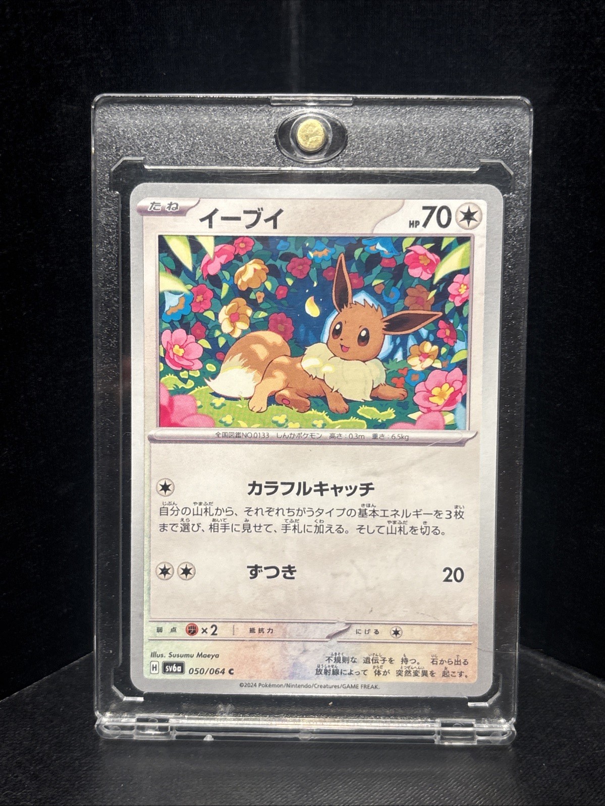 POKÉMON TGC JPN EVE NIGHT WONDERER UNLIMITED 050/064