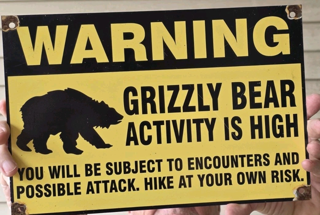 VINTAGE 1960\'S WARNING GRIZZLY BEAR PORCELAIN SIGN 12\