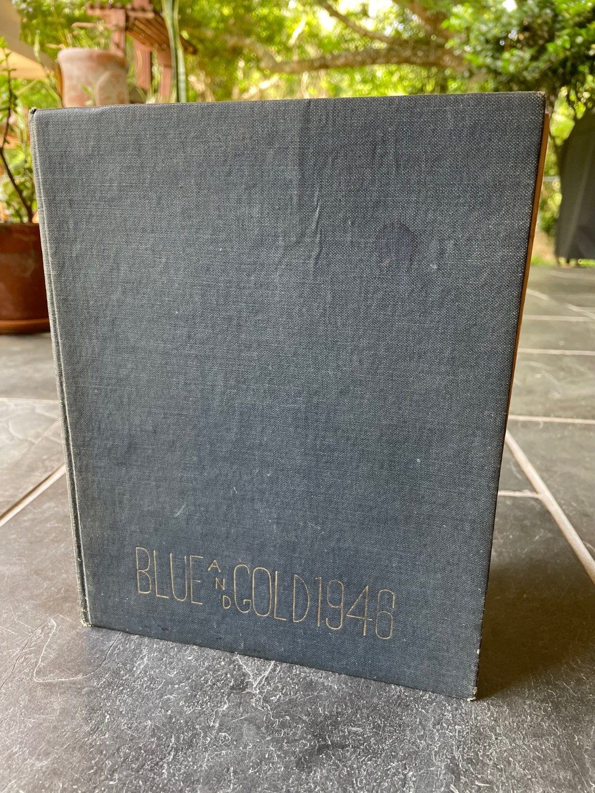 1946 Ellenville NY High School Yearbook Blue & Gold History Genealogy Wawarsing