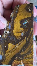 Australian Boulder opal Nice Chunk Of rough  520 Cts.   picture