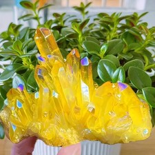 Healing Mineral Specimen Natural Aura Yellow Citrine Crystal Titanium Cluster US picture