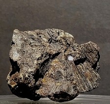 Rare Fluorescent Fluorapatite & Acicular Magnetite - Pilot Knob, MO - REE... picture