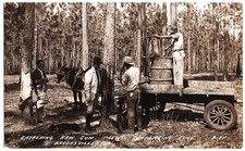 RPPC Brooksville FL - Gathering Raw Gum Lewis Turpentine Still 1930s postcard picture