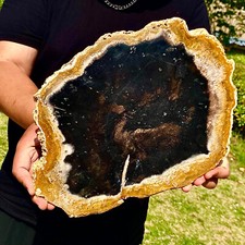 4.33LB Large Natural Petrified Wood Crystal Fossil Slice Shape Specimen Healing picture
