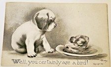 Antique 1909 Vincent Colby Dog Puppy Chick Postcard Unposted 1910 Comic Humor picture
