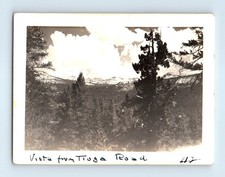 Old Vintage Photo YOSEMITE TIOGA ROAD MOUNTAIN LANDSCAPE SNAPSHOT PHOTOGRAPH picture