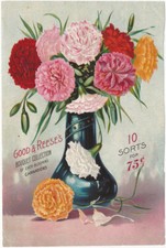 Carnations & Roses Boquets Flower Original Antique Color Garden Advertisement picture