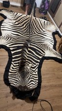 Vintage Authentic Zebra Hyde Carpet Or Wall Decor picture