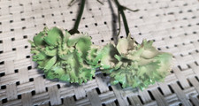 -Lot of 2 Green Vtg Ceramic Carnations with bendable plastic stems 💐 picture