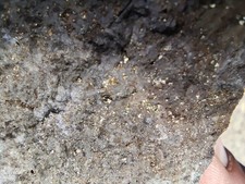 Cripple Creek Gold Ore Calaverite – 25lb / 50lb / 100lb Bulk Lot picture