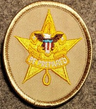 BSA - Star Rank Badge - Tan Oval - Current Issue - Scouting America picture