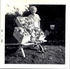 Elderly Woman with Boxes of Foraged Mushrooms, 1960s B&W Snapshot Photo picture
